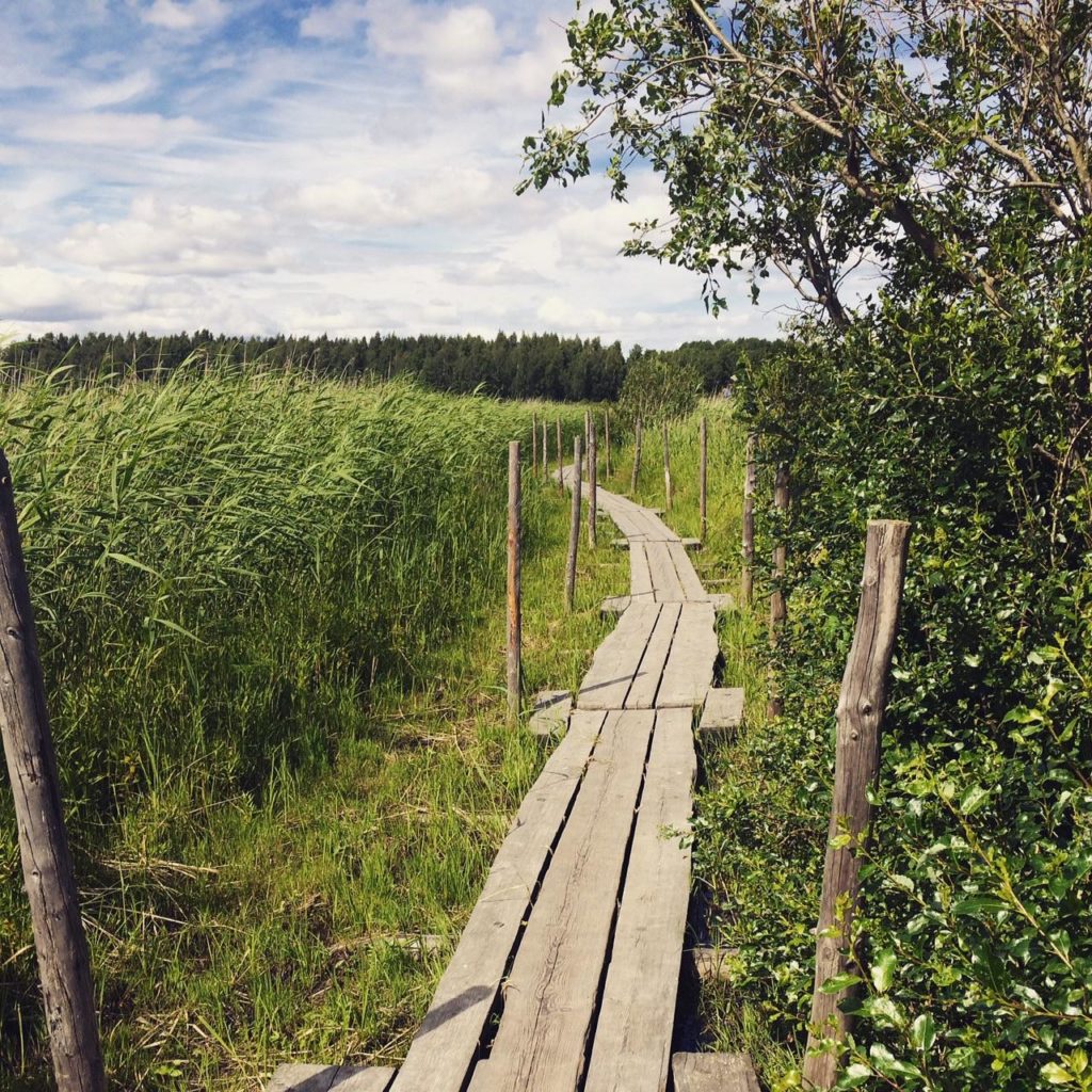 Uudelle polulle astuminen tekee hyvää!