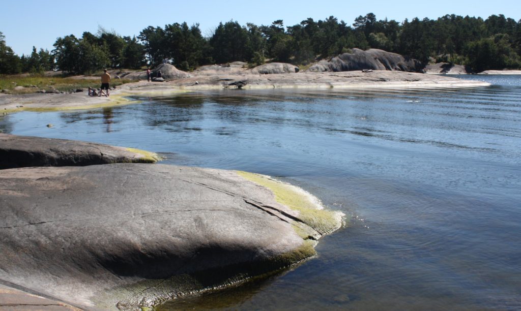 Ei enää montaa kuukautta, niin näyttää taas tältä!