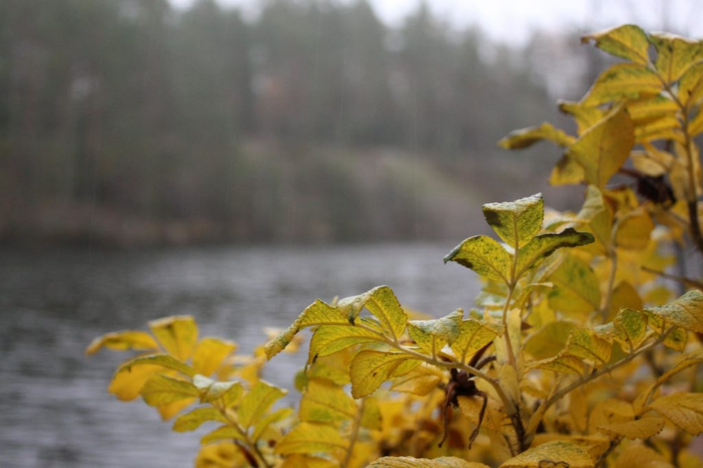 No oli siellä vähän värejäkin, mutta tosi vähän.